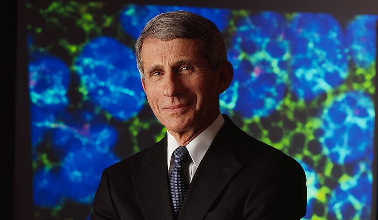 Fauci to join Santa Clara County COVID-19 panel next week, bringing together an array of experts