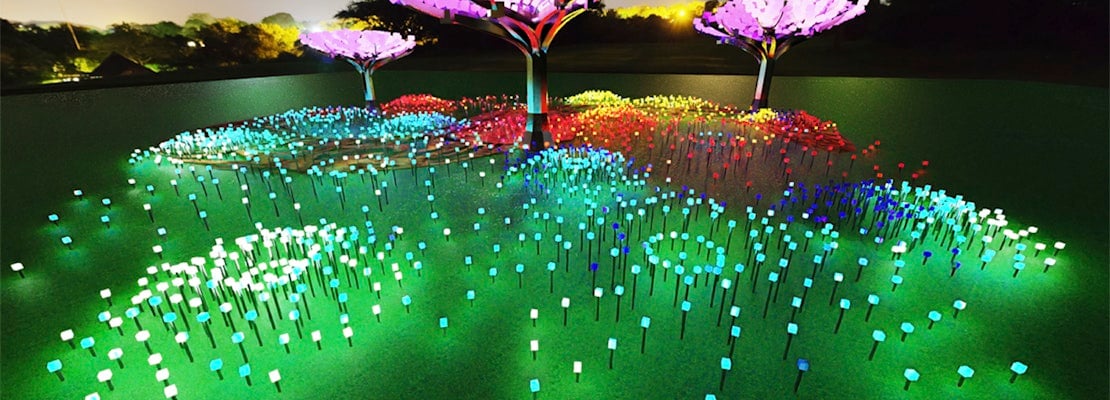 Illuminated LED 'forest' coming this winter to Golden Gate Park's Peacock Meadow