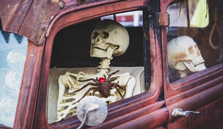 Haunted car wash, Day of the Dead drive-through offer coronavirus-appropriate Halloween alternatives
