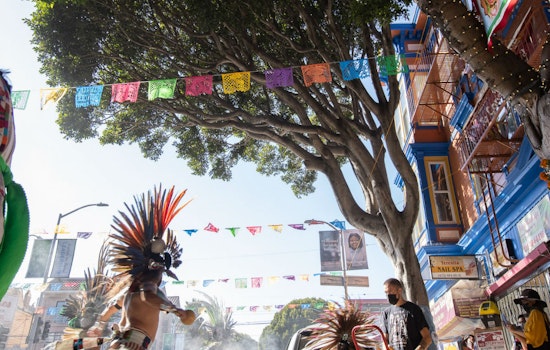 Video: ‘Funeral’ held for 24th Street ficus trees slated to be cut down