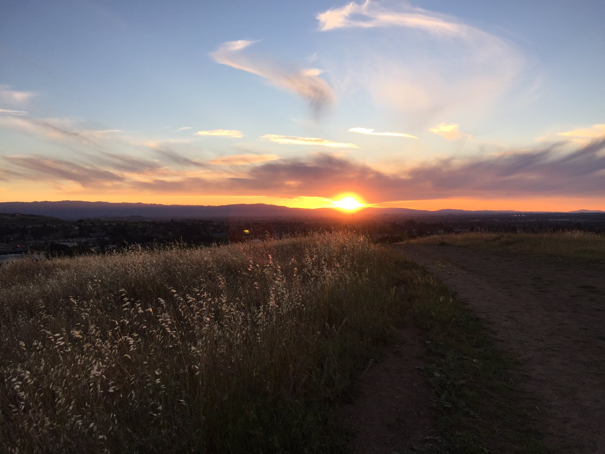 Sunset in Montgomery Hill Park