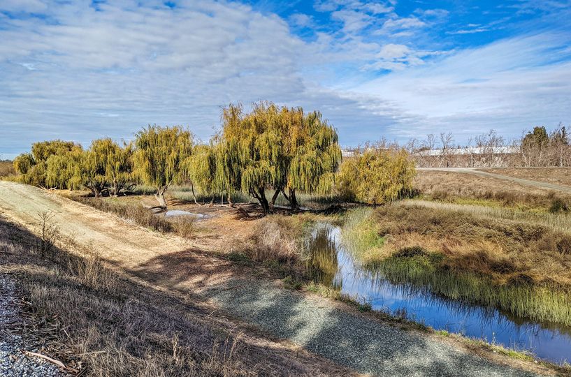 Ulistac Natural Area