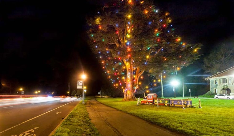 Giant cypress tree at Golden Gate Park still done up for Christmas, despite pandemic