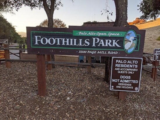 After more than 51 years, Palo Alto’s Foothills Park is finally open to the public