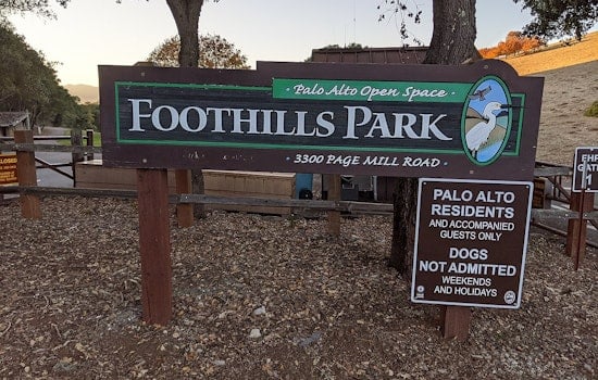 After more than 51 years, Palo Alto’s Foothills Park is finally open to the public