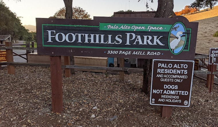 After more than 51 years, Palo Alto’s Foothills Park is finally open to the public