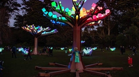 Illuminated LED forest ‘Entwined’ returning to Golden Gate Park for the holiday season 