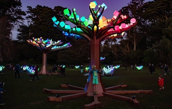 Illuminated LED forest ‘Entwined’ returning to Golden Gate Park for the holiday season