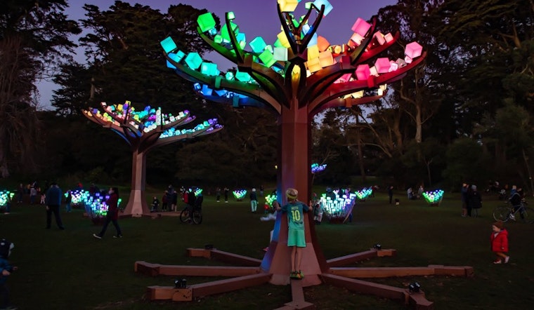 Illuminated LED forest ‘Entwined’ returning to Golden Gate Park for the holiday season