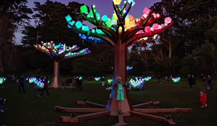 Illuminated LED forest ‘Entwined’ returning to Golden Gate Park for the holiday season 