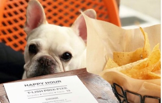 Tacolicious is trotting out a weekly ‘Barklet Happy Hour’ at their Marina location
