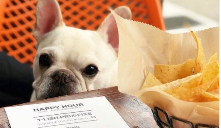 Tacolicious is trotting out a weekly ‘Barklet Happy Hour’ at their Marina location
