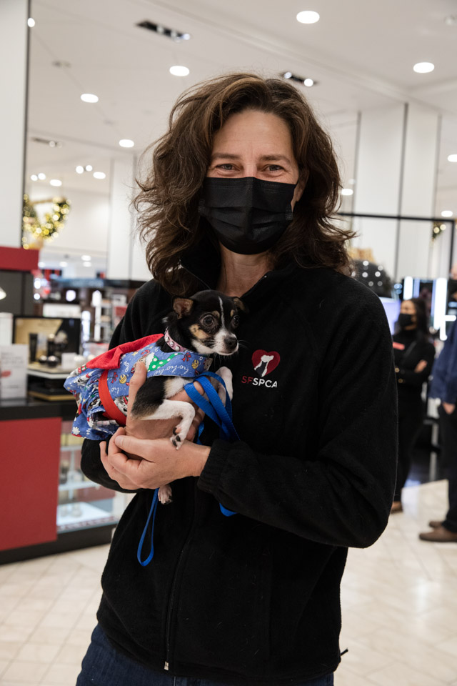 SF SPCA and Macy’s annual holiday windows are back