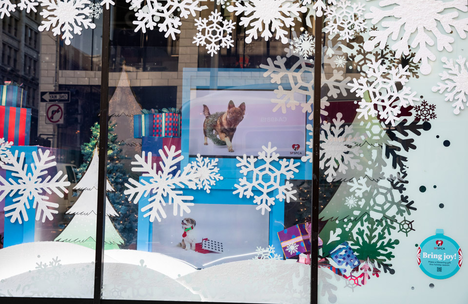 SF SPCA and Macy’s annual holiday windows are back