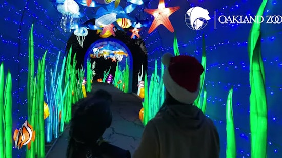 Photos: Oakland Zoo’s Glowfari officially opens for the 2021 holiday season