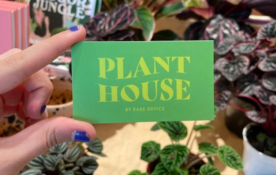 Rare Device opens Plant House on Divisadero Nov. 6