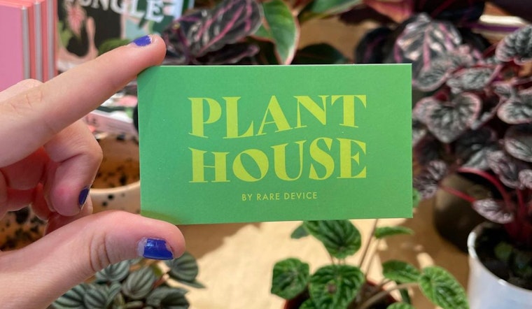 Rare Device opens Plant House on Divisadero Nov. 6