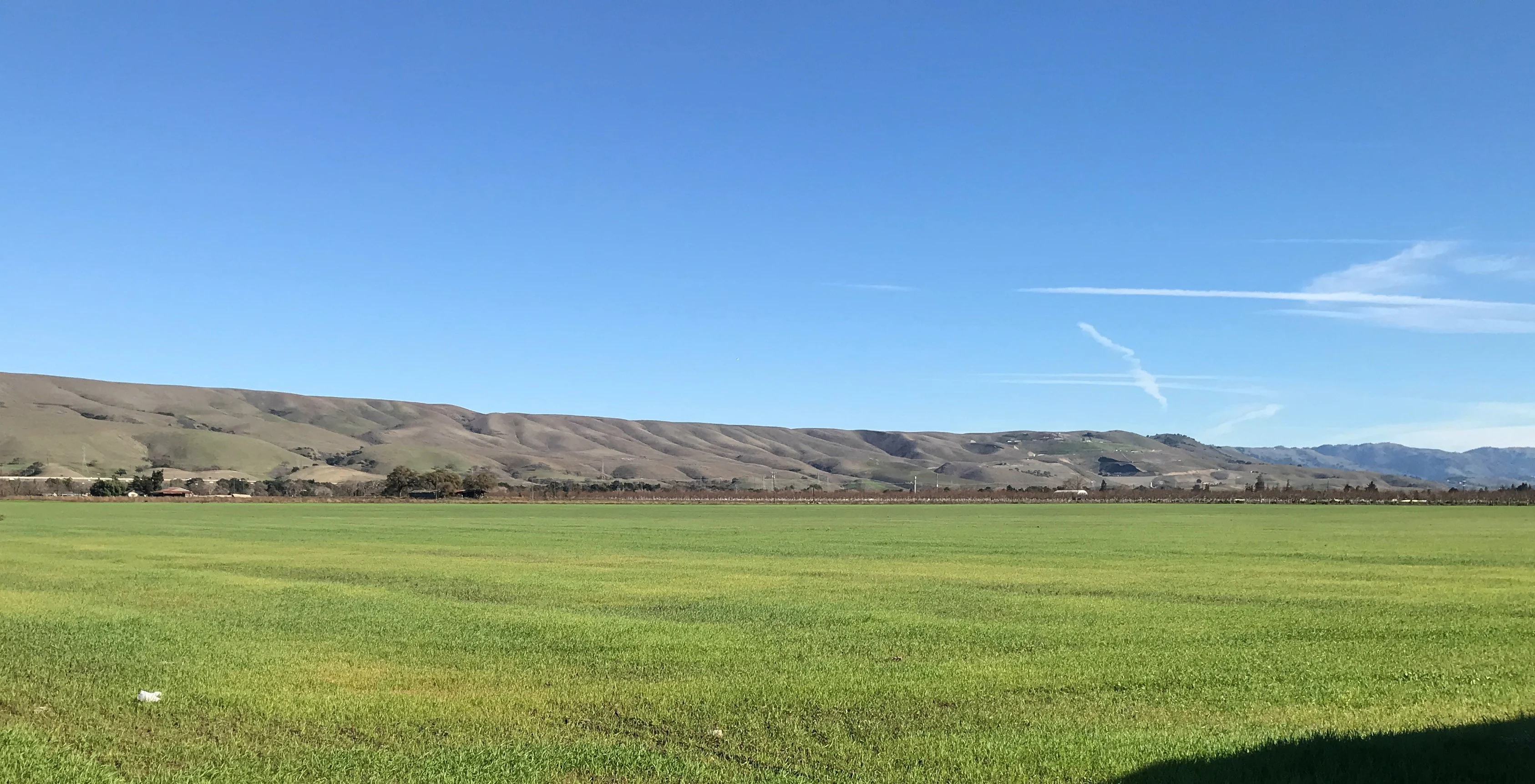 Growing Efforts to Protect Agriculture in the Santa Clara Valley