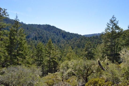 Hidden gem for hikers in the Santa Cruz Mountains gradually reopening after wildfires
