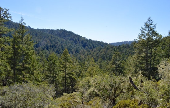 Hidden gem for hikers in the Santa Cruz Mountains gradually reopening after wildfires