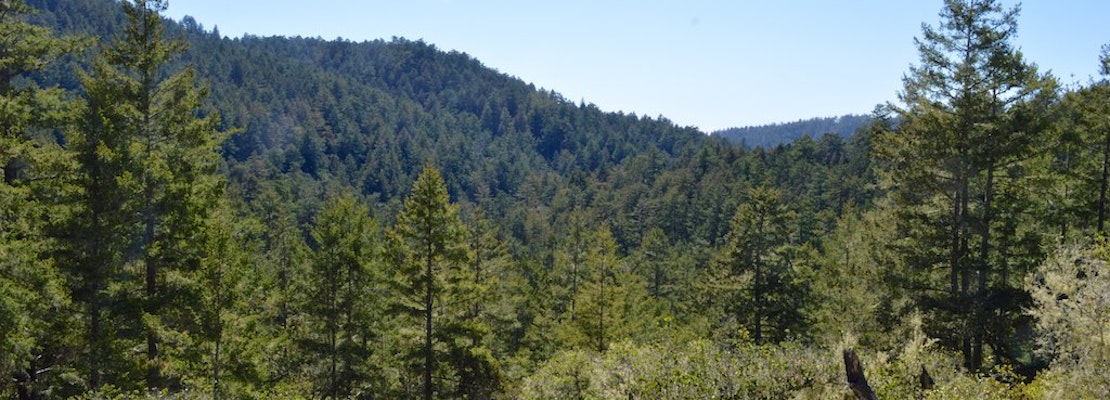 Hidden gem for hikers in the Santa Cruz Mountains gradually reopening after wildfires