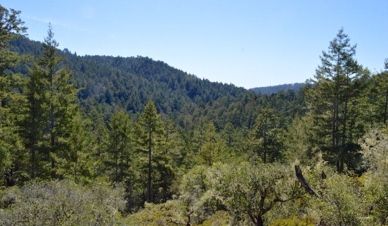 Hidden gem for hikers in the Santa Cruz Mountains gradually reopening after wildfires