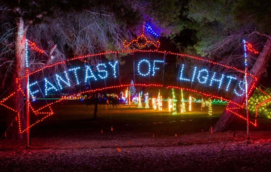 Ready to get festive? Try these unique Christmas happenings around the Bay