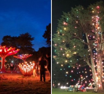 ‘Entwined’ exhibit and Uncle John’s Tree get their holiday lighting ceremonies Thursday in Golden Gate Park