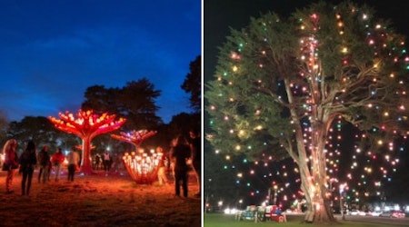 ‘Entwined’ exhibit and Uncle John’s Tree get their holiday lighting ceremonies Thursday in Golden Gate Park