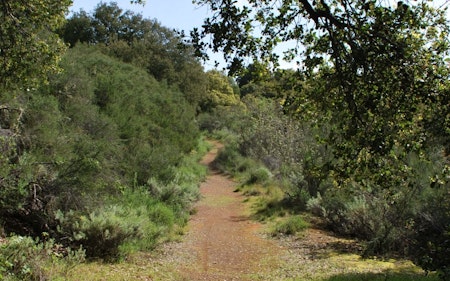 New fees, capacity limits, and name change for newly public Palo Alto park
