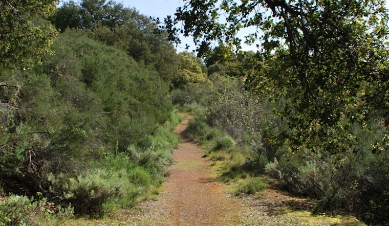 New fees, capacity limits, and name change for newly public Palo Alto park