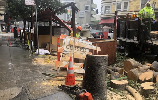 Falling tree demolishes parklet outside Hayes Valley restaurant Absinthe
