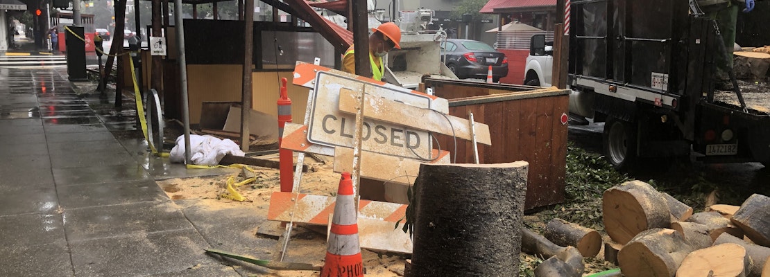 Falling tree demolishes parklet outside Hayes Valley restaurant Absinthe