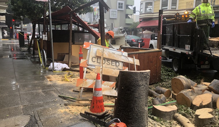Falling tree demolishes parklet outside Hayes Valley restaurant Absinthe