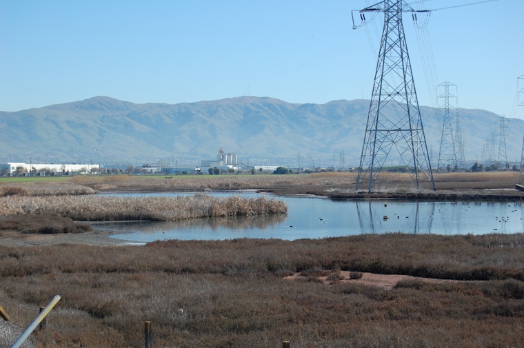 Environmentalists appeal the approval of a housing development on landfill along Newark wetlands