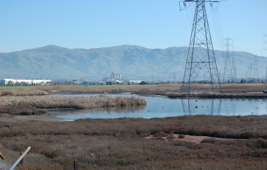 Environmentalists appeal the approval of a housing development on landfill along Newark wetlands