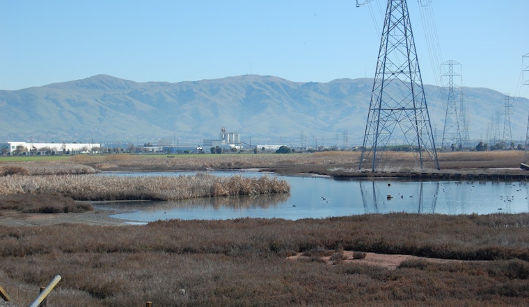 Environmentalists appeal the approval of a housing development on landfill along Newark wetlands 