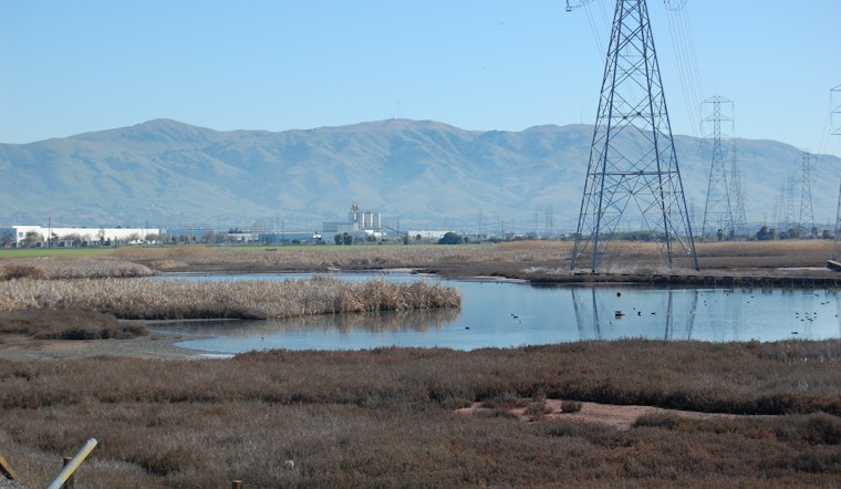 Environmentalists appeal the approval of a housing development on landfill along Newark wetlands