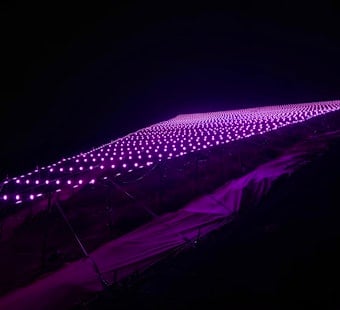 For second year in a row, Pink Triangle to be 'Illuminated' throughout Pride Month