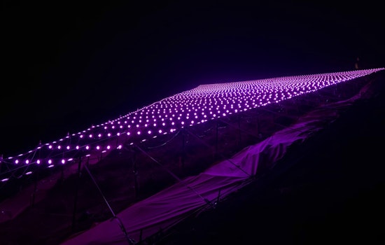 For second year in a row, Pink Triangle to be 'Illuminated' throughout Pride Month