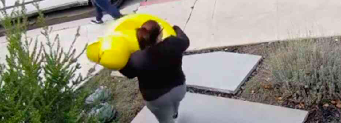 ‘Case quacked’: Mountain View police arrest alleged rubber-duck statue thieves