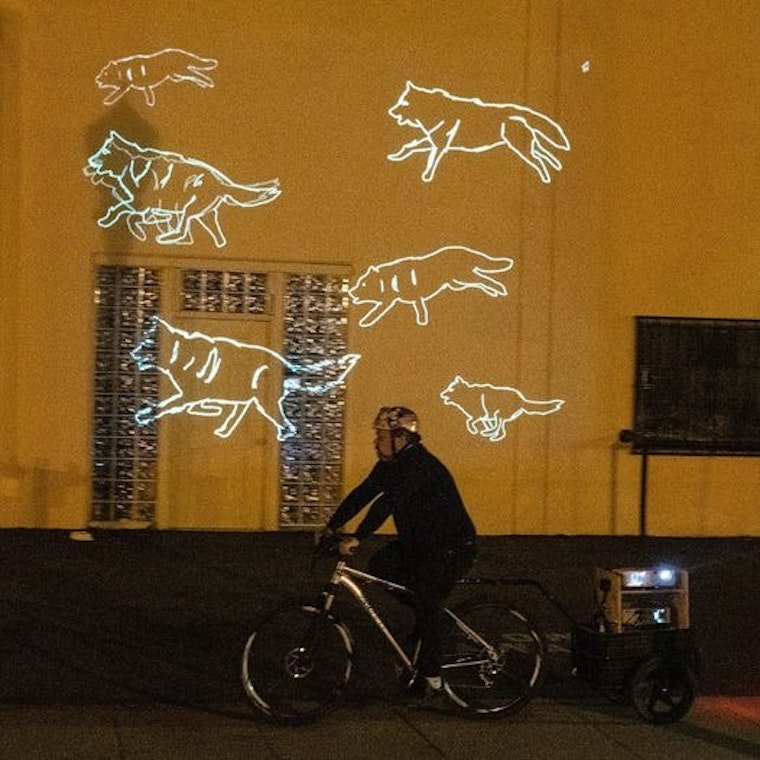 Why digital wolves are racing around Palo Alto (and where to see them)