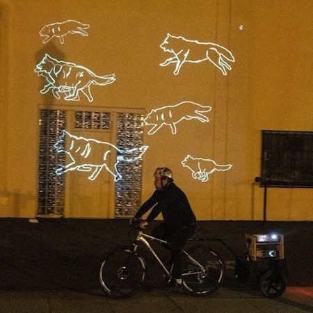 Why digital wolves are racing around Palo Alto (and where to see them)