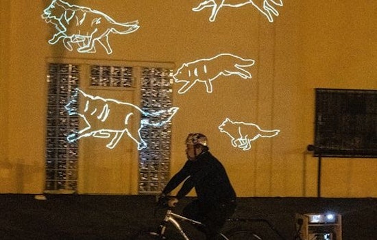 Why digital wolves are racing around Palo Alto (and where to see them)