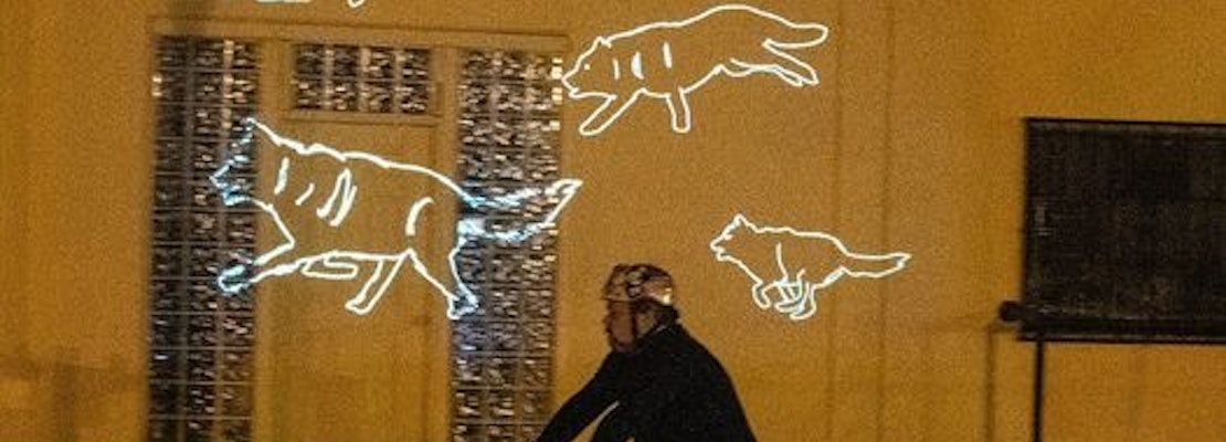 Why digital wolves are racing around Palo Alto (and where to see them)