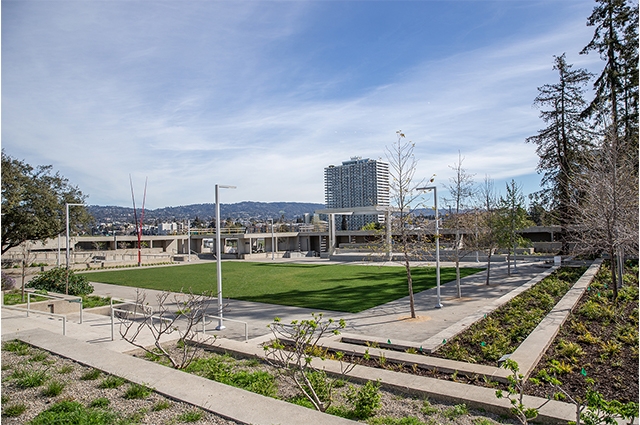 Photo: View of OMCA's refreshed tiered gardens and new stage. Odell Hussey Photography, Courtesy of Oakland Museum of California.