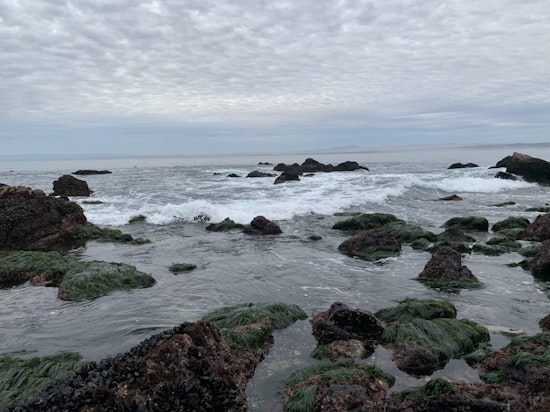 Bay Area day trips: Summertime in Monterey County
