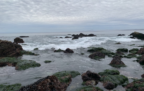 Bay Area day trips: Summertime in Monterey County