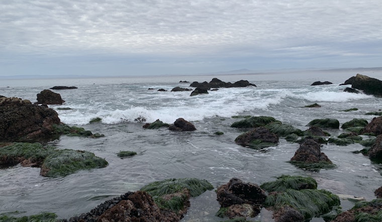 Bay Area day trips: Summertime in Monterey County