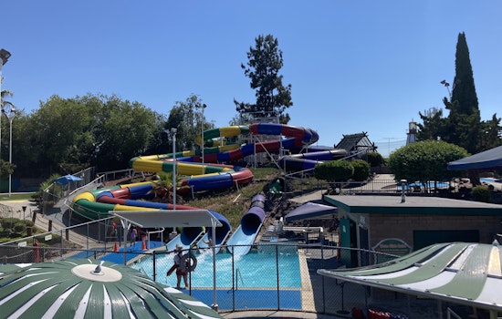 Bay Area day trips: Summertime in Santa Clara County
